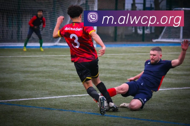 奖项证书